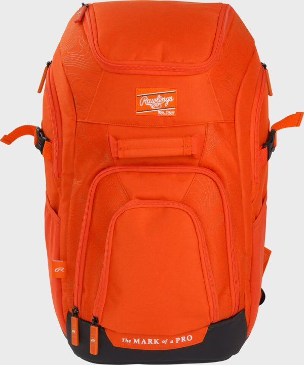 Franchise 2 Player's Baseball Backpack