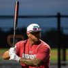 2024 Primo Maxload USSSA Bat - Image 12