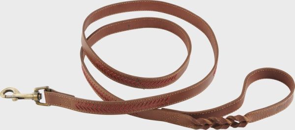 Rawlings Baseball Stitch Leather Dog Leash