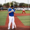 2024 Bedlam Phil Matte 12.5" XL USSSA Bat - Image 14