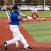 2024 Bedlam Phil Matte 12.5" XL USSSA Bat - Image 15