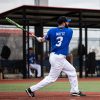 2024 Bedlam Phil Matte 12.5" XL USSSA Bat - Image 16
